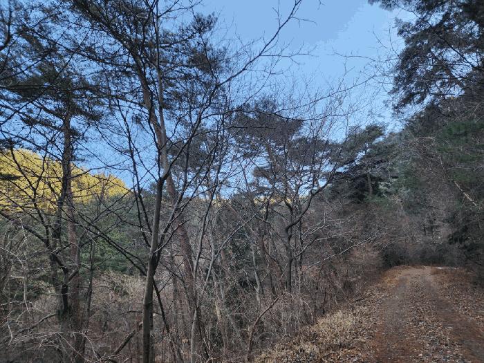 경상남도 하동군 청암면 중이리 658-1 주택 경매 사진 9
