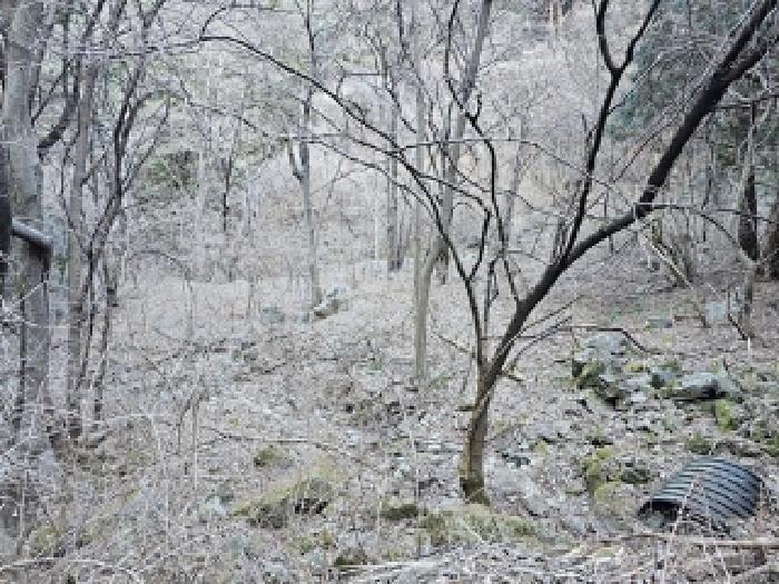 경상남도 하동군 고전면 성천리 821 전 경매 사진 18