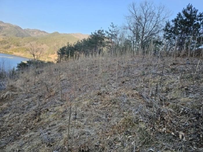 경상남도 하동군 고전면 성천리 821 전 경매 사진 20