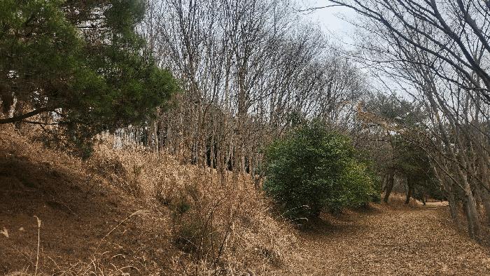 경상남도 사천시 곤명면 삼정리 산44-3 임야 경매 사진 2