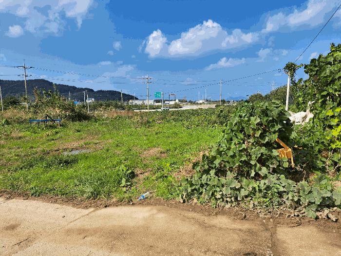 전북특별자치도 부안군 변산면 마포리 381-1 답 경매 사진 3