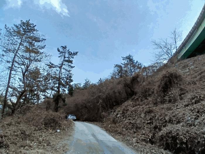 전라남도 여수시 율촌면 신풍리 산77 임야 경매 사진 12