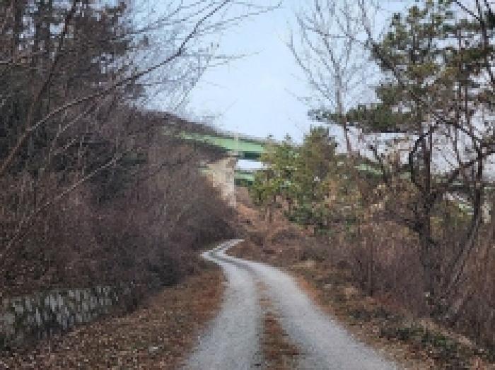 전라남도 여수시 율촌면 신풍리 산77 임야 경매 사진 19