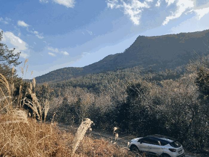 전라남도 여수시 임야