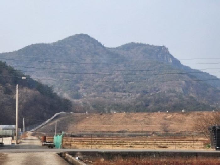 전라남도 여수시 율촌면 신풍리 산115 임야 경매 사진 15