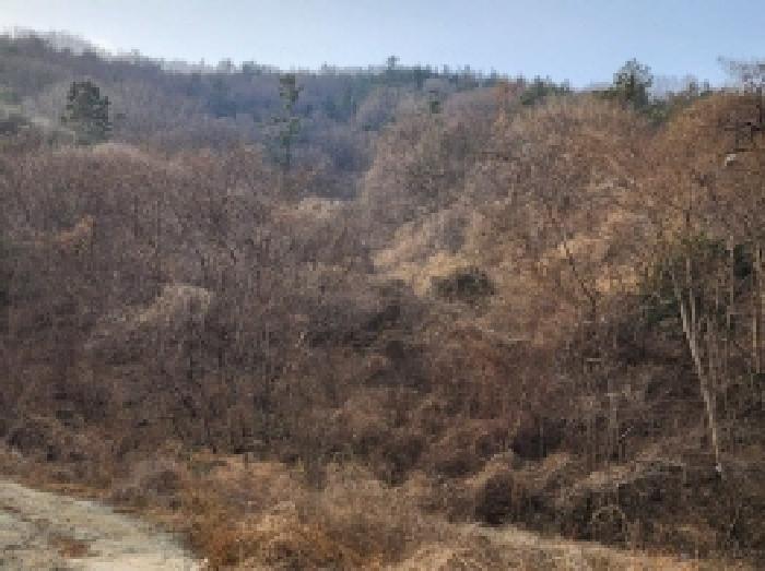 전라남도 여수시 율촌면 신풍리 산115 임야 경매 사진 16