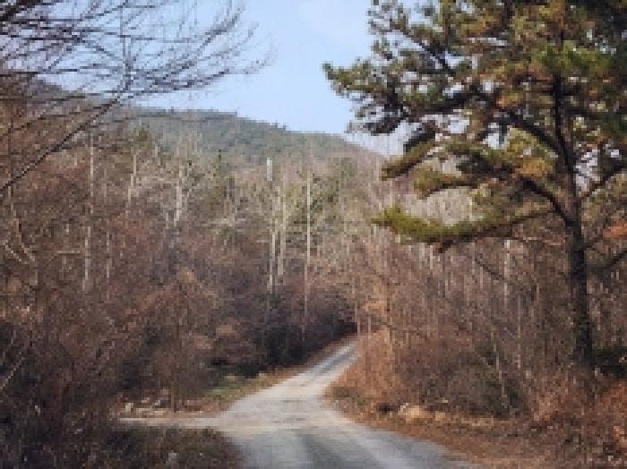 전라남도 여수시 율촌면 신풍리 산115 임야 경매 사진 20