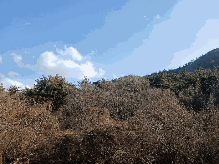 전라남도 여수시 율촌면 신풍리 산115 임야 경매 사진 5