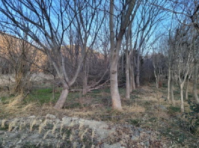 전라남도 광양시 봉강면 석사리 242 전 경매 사진 11