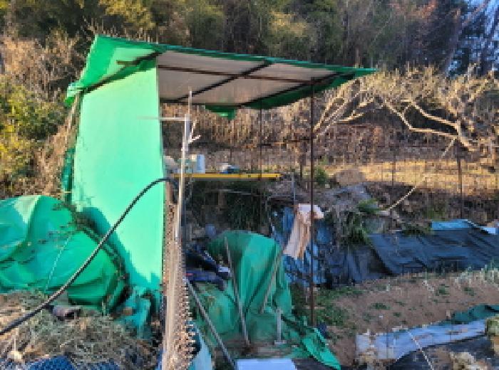 전라남도 광양시 봉강면 석사리 242 전 경매 사진 5