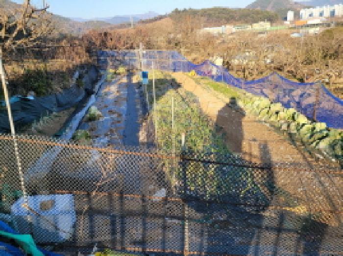 전라남도 광양시 봉강면 석사리 242 전 경매 사진 6