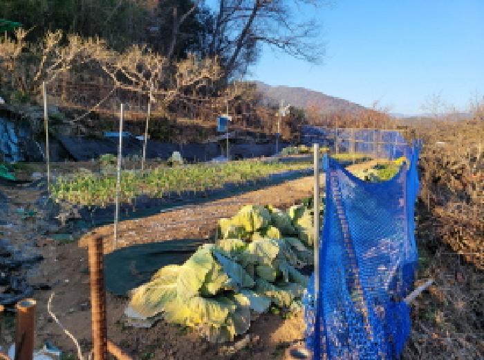 전라남도 광양시 봉강면 석사리 978 답 경매 사진 7