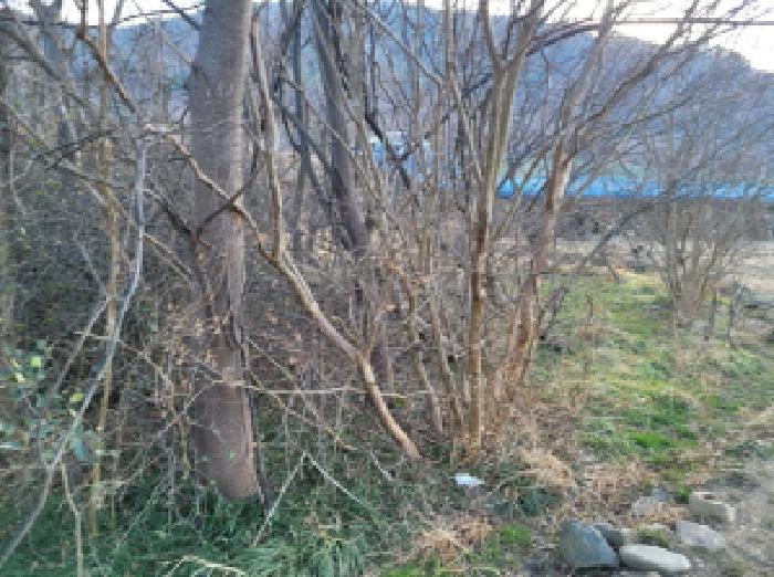 전라남도 광양시 봉강면 석사리 978 답 경매 사진 9