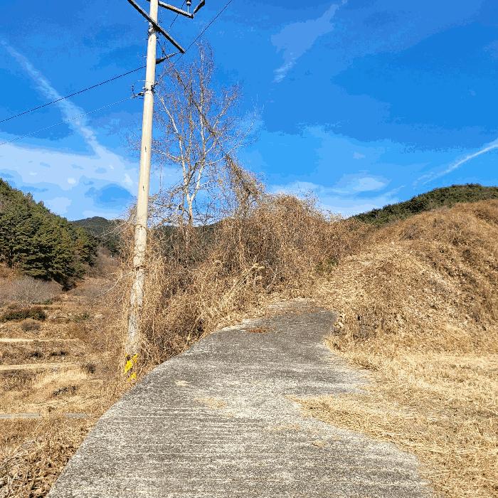전라남도 순천시 송광면 이읍리 56 답 경매 사진 12