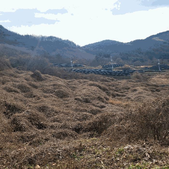 전라남도 순천시 송광면 이읍리 56 답 경매 사진 13
