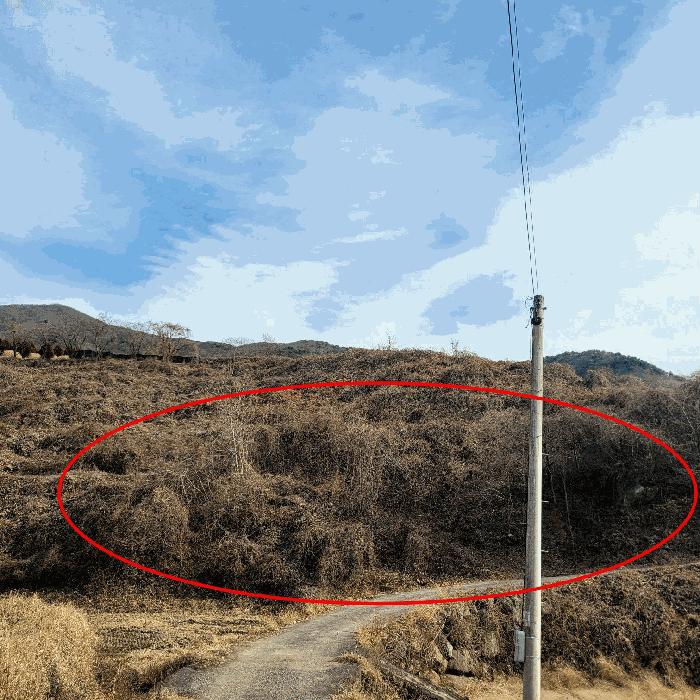 전라남도 순천시 송광면 이읍리 56 답 경매 사진 14