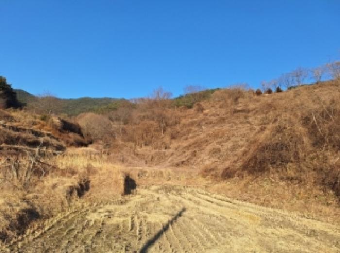 전라남도 순천시 송광면 이읍리 56 답 경매 사진 17
