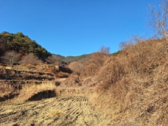 전라남도 순천시 송광면 이읍리 56 답 경매 사진 19