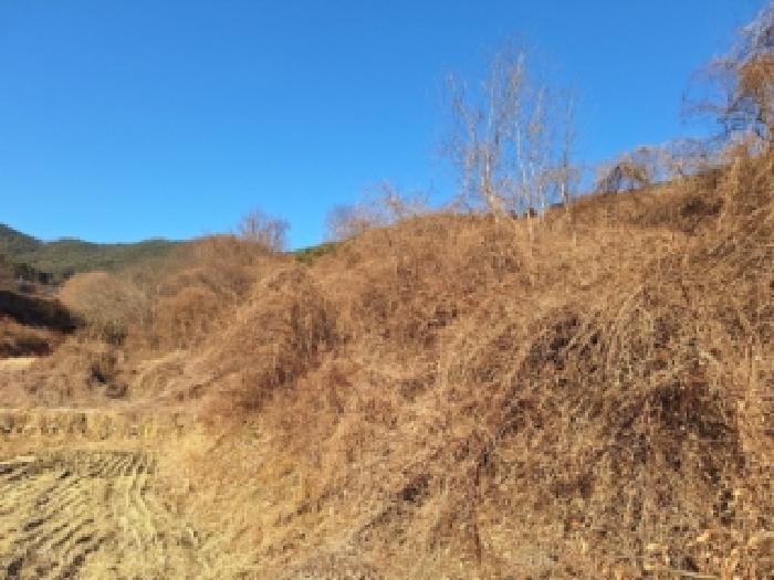 전라남도 순천시 송광면 이읍리 56 답 경매 사진 20