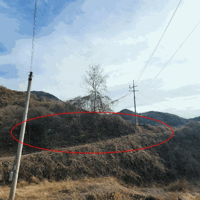 전라남도 순천시 송광면 이읍리 56 답 경매 사진 3
