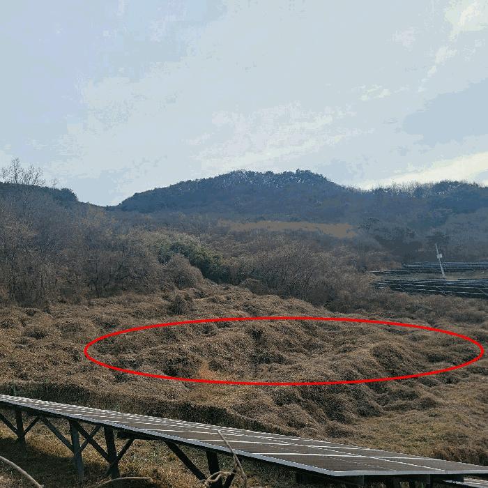 전라남도 순천시 송광면 이읍리 56 답 경매 사진 5
