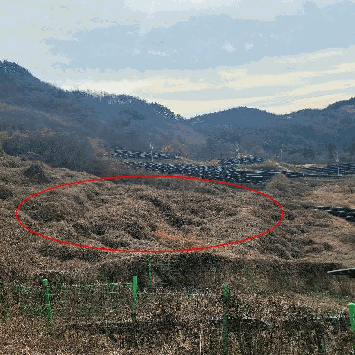전라남도 순천시 송광면 이읍리 56 답 경매 사진 9