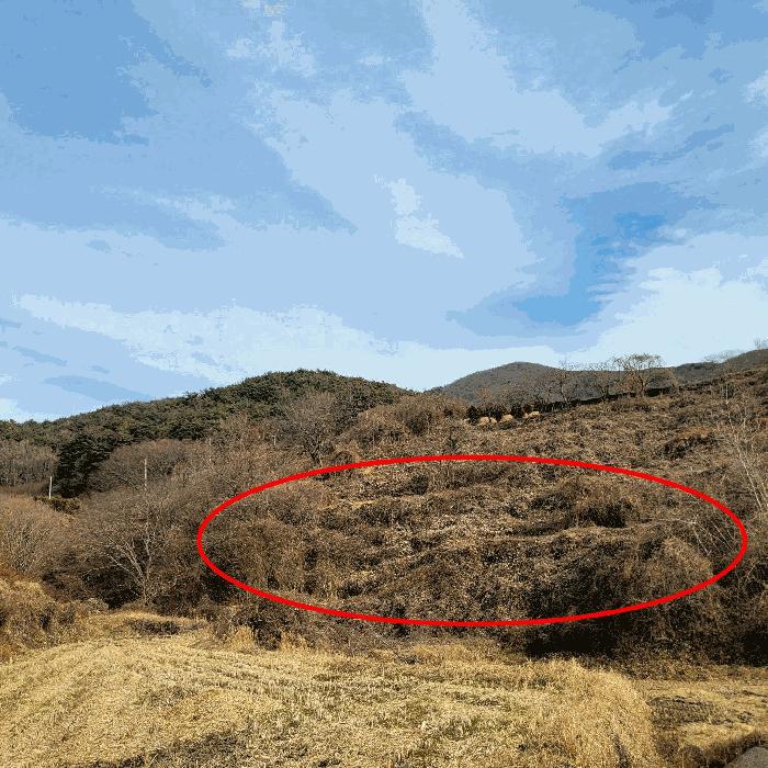 전라남도 순천시 송광면 이읍리 322 답 경매 사진 10