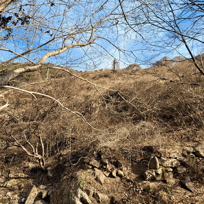 전라남도 순천시 송광면 이읍리 322 답 경매 사진 11