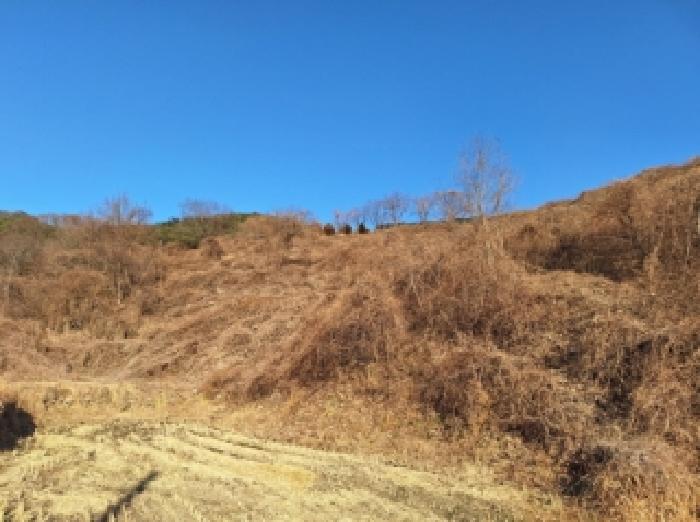 전라남도 순천시 송광면 이읍리 322 답 경매 사진 18