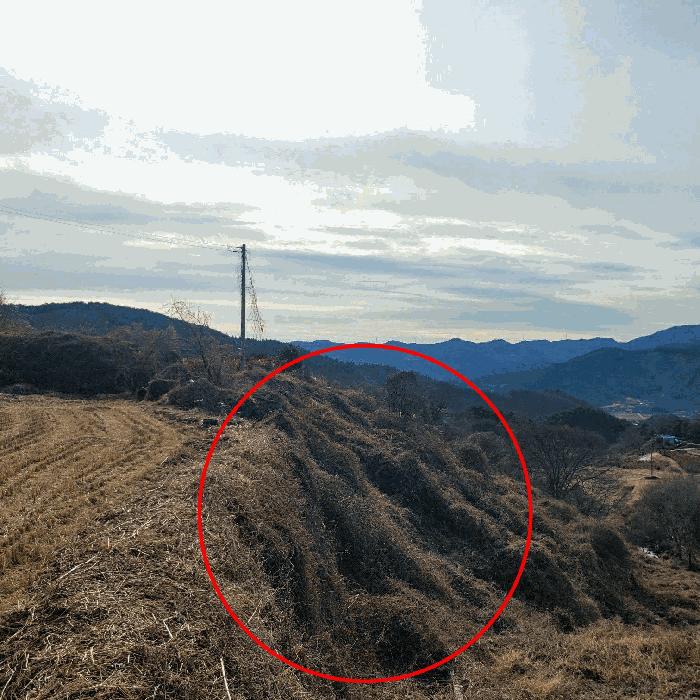 전라남도 순천시 송광면 이읍리 322 답 경매 사진 2