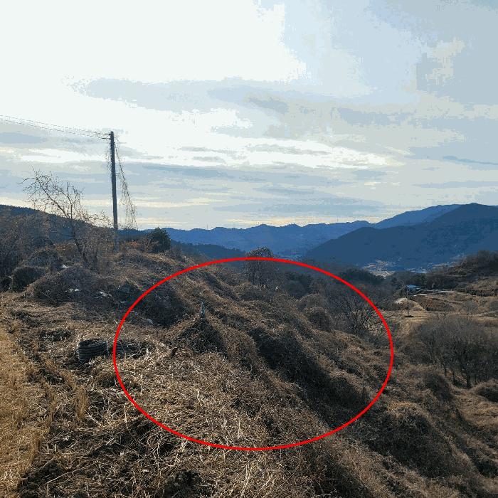 전라남도 순천시 송광면 이읍리 322 답 경매 사진 6