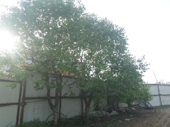 전북특별자치도 완주군 삼례읍 석전리 306-3 답 경매 사진 15
