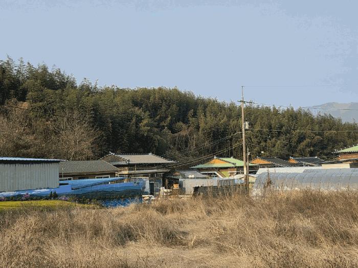 전라남도 구례군 임야