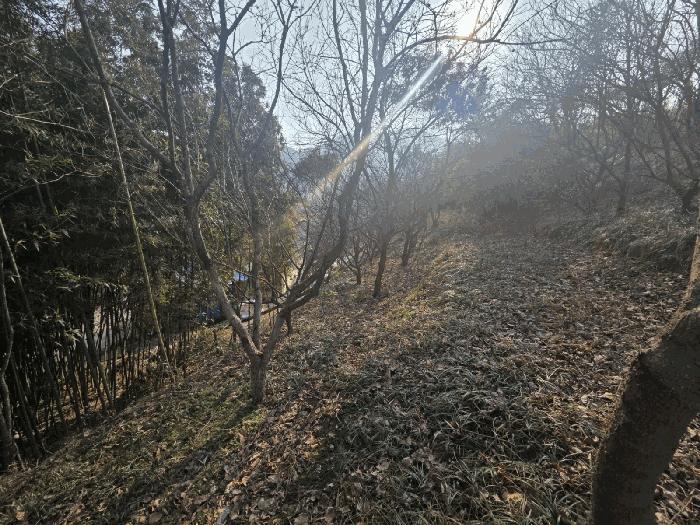 전라남도 구례군 문척면 월전리 605-1 임야 경매 사진 13