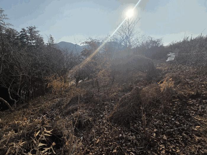 전라남도 구례군 문척면 월전리 605-1 임야 경매 사진 4