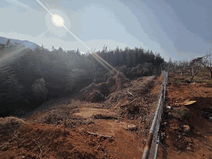 전라남도 구례군 문척면 월전리 605-1 임야 경매 사진 9