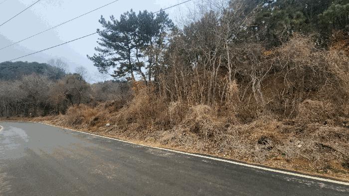 전라남도 보성군 벌교읍 대포리 580-1 답 경매 사진 5