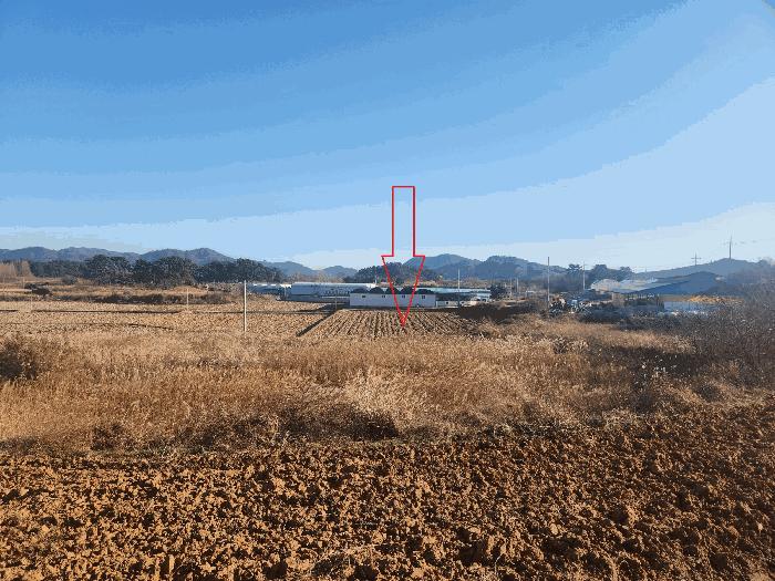 전북특별자치도 고창군 해리면 동호리 830 답 경매 사진 1