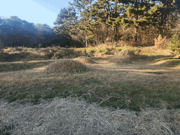 전북특별자치도 고창군 해리면 동호리 830 답 경매 사진 6