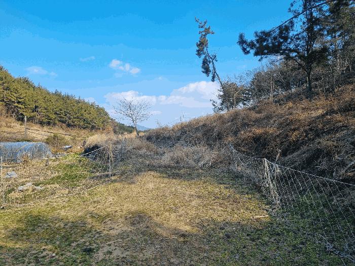 전라남도 고흥군 금산면 석정리 1219 전 경매 사진 3