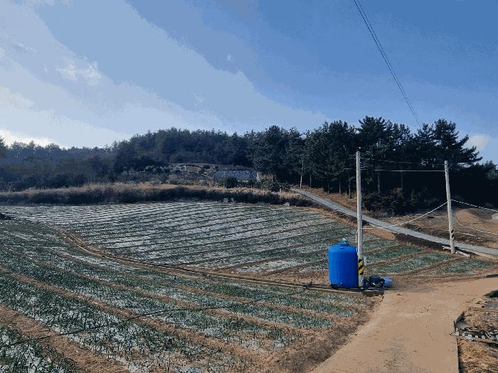 전라남도 고흥군 금산면 석정리 1219 전 경매 사진 4