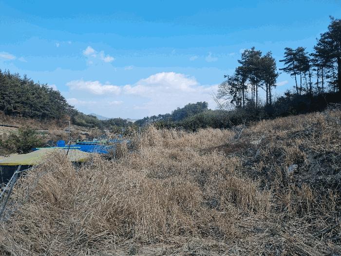 전라남도 고흥군 금산면 석정리 1291 답 경매 사진 6