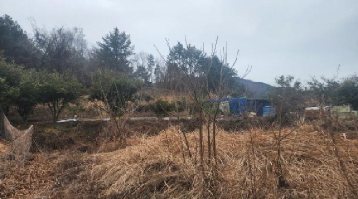 전라남도 고흥군 금산면 석정리 1291 답 경매 사진 7