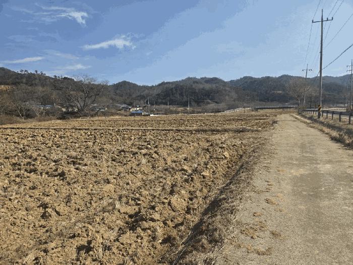 전라남도 보성군 노동면 명봉리 736-3 답 경매 사진 3