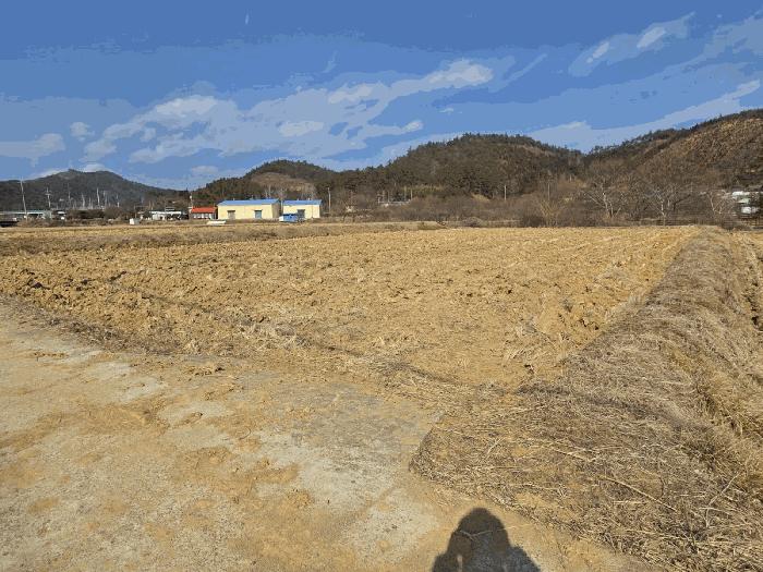 전라남도 보성군 노동면 명봉리 736-3 답 경매 사진 4