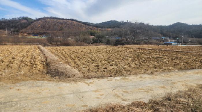 전라남도 보성군 노동면 명봉리 736-3 답 경매 사진 5