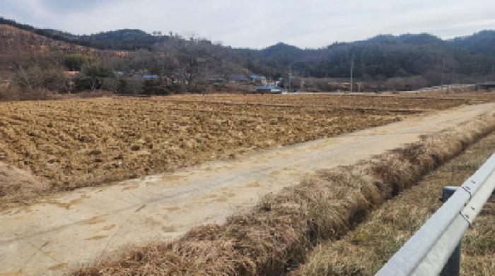 전라남도 보성군 노동면 명봉리 736-3 답 경매 사진 6