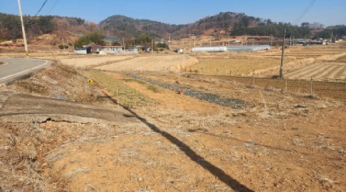 전라남도 고흥군 두원면 대금리 848-1 답 경매 사진 10