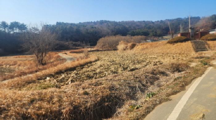 전라남도 고흥군 두원면 대금리 848-1 답 경매 사진 11