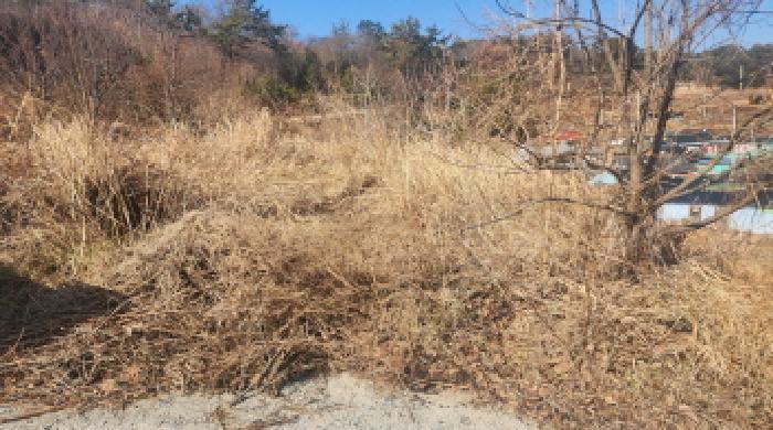전라남도 고흥군 두원면 대금리 848-1 답 경매 사진 12